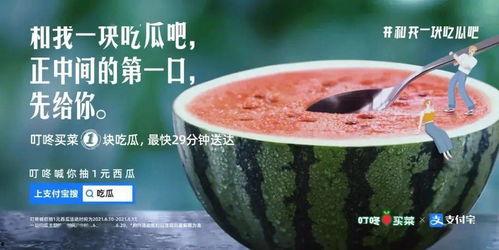 昆明酒吧吃瓜新闻,揭秘幕后真相与公众热议