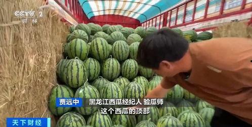 带你吃瓜讲曹县,带你吃瓜品鉴地方特色