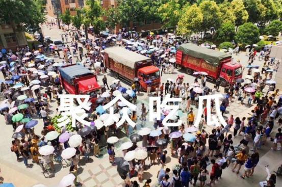 吃瓜合肥学校,揭秘“吃瓜”背后的校园生活点滴