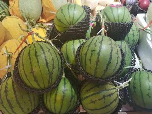 王博吃瓜,揭秘娱乐圈幕后真相