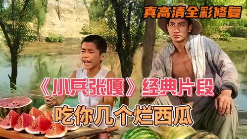 吃瓜小片段,揭秘娱乐圈那些鲜为人知的幕后故事