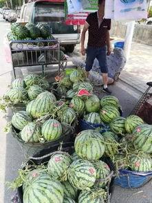 辉县大宝吃瓜事件,一场网络狂欢背后的真相与反思