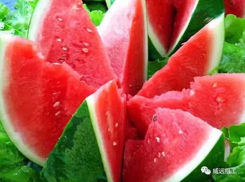 端午酒店吃瓜,酒店里的“瓜”界盛宴