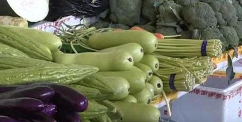 苦手瓜怎么吃,解锁美味新境界