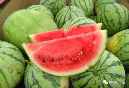 吃瓜的奇妙时间,揭秘娱乐圈的奇妙瞬间