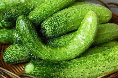 吃瓜与皮肤瘙痒,揭秘夏日饮食与皮肤健康的微妙关系